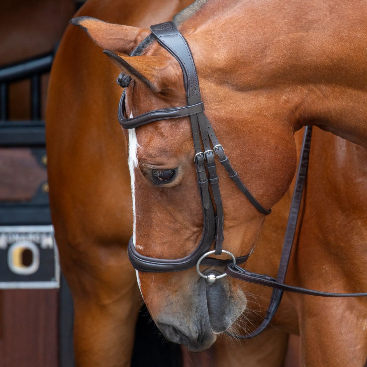 Shires Velociti Gara Non-Stretch Stirrup Leathers - The Saddlery and Gunroom
